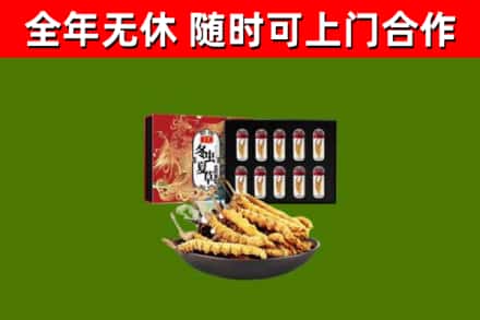 资中县烟酒回收冬虫夏草礼盒.jpg